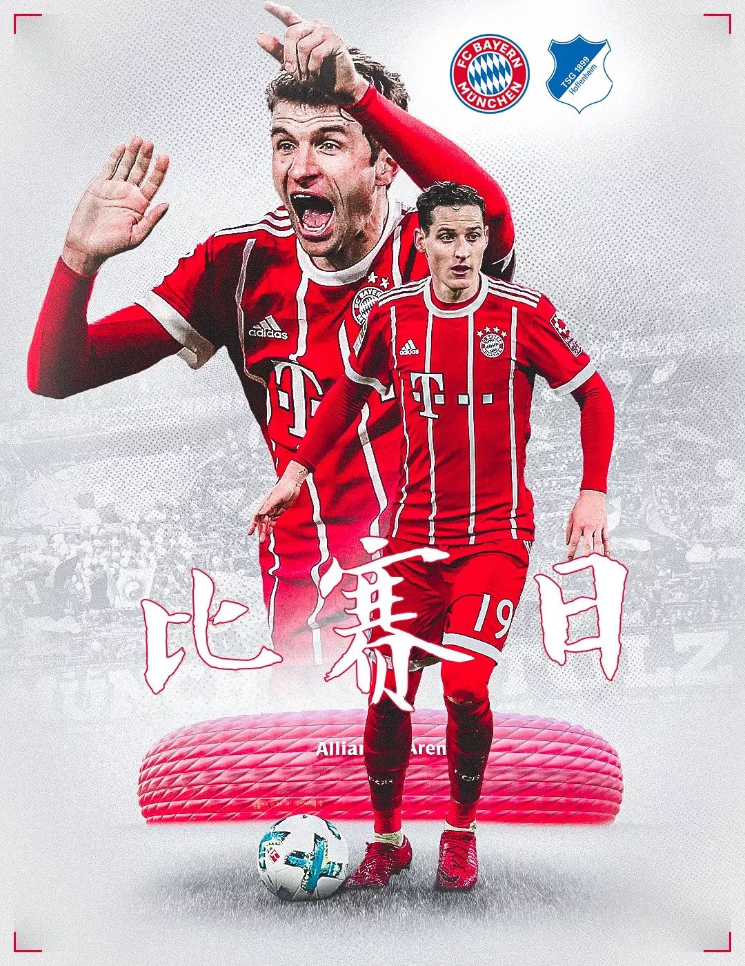 赛龙
